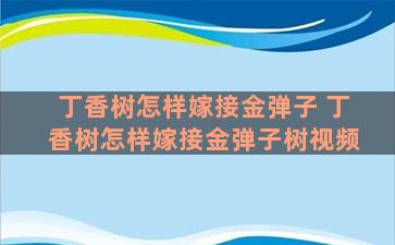 丁香树怎样嫁接金弹子 丁香树怎样嫁接金弹子树视频